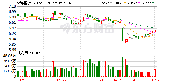 博盈配资 林洋能源：2024年实现营业收入67.42亿元，构建全球化发展新格局