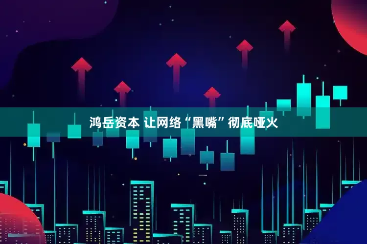 鸿岳资本 让网络“黑嘴”彻底哑火