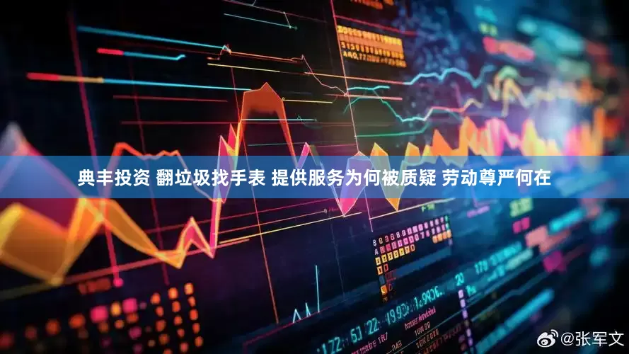 典丰投资 翻垃圾找手表 提供服务为何被质疑 劳动尊严何在