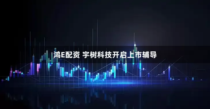 鸿E配资 宇树科技开启上市辅导