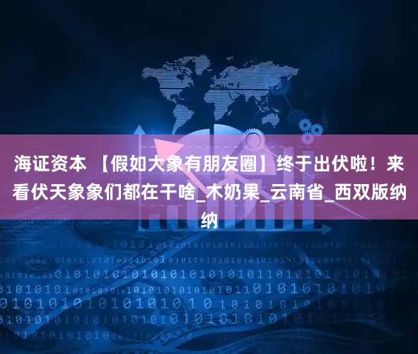 海证资本 【假如大象有朋友圈】终于出伏啦！来看伏天象象们都在干啥_木奶果_云南省_西双版纳