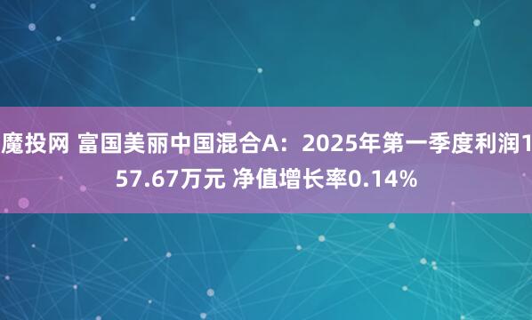 魔投网 富国美丽中国混合A：2025年第一季度利润157.67万元 净值增长率0.14%