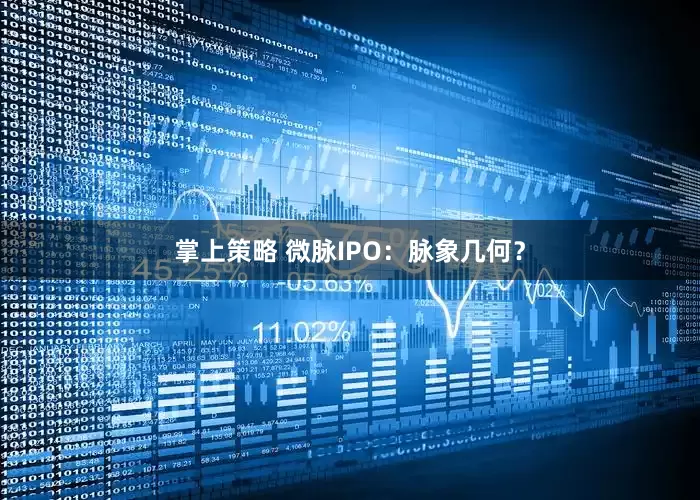 掌上策略 微脉IPO：脉象几何？
